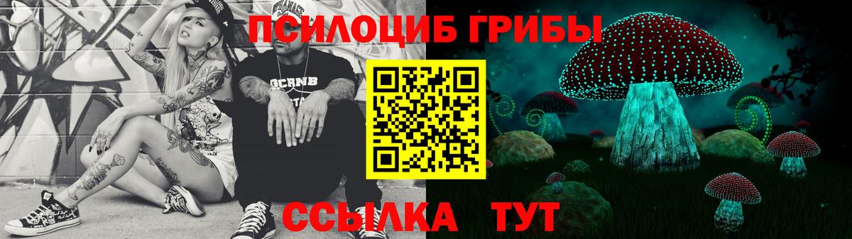 Тайшет  Псилоцибиновые грибы GOLDEN TEACHER  Вход с VPN 